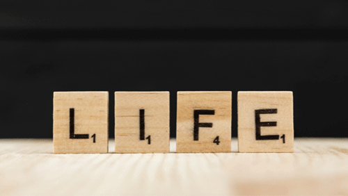 One Life To Live